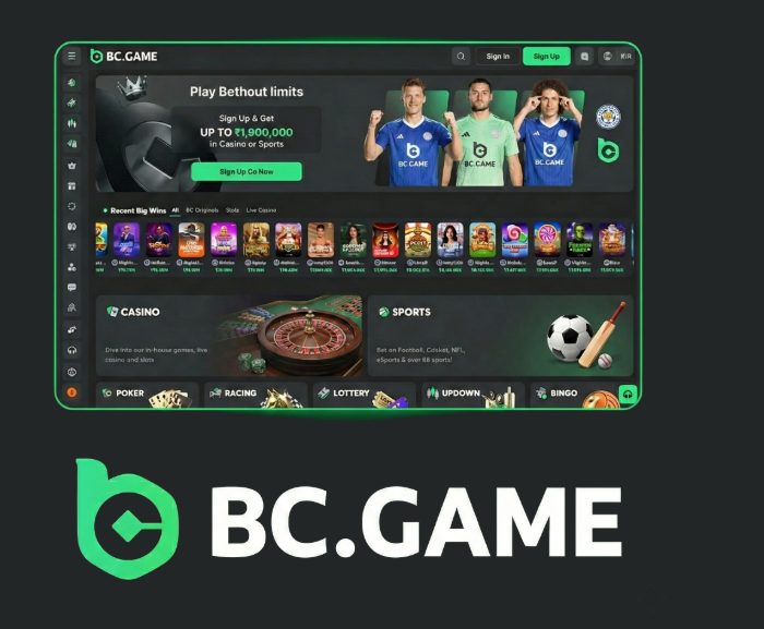 Download the BC.Game Mirror App Your Gateway to Exciting Gaming Experiences